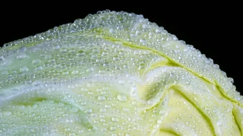 Top of white cabbage head in water drops close up, rotating contra clockwise Stock-Footage 78349758