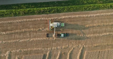 Topdown Drone Combine Harvester Unloading Wheat into Tractor Trailer Across Stock Footage 340880217