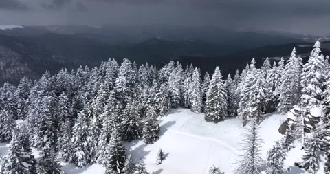 Topdown drone view of a snow-covered mountain landscape at an altitude over 1600 Stock Footage 205093936