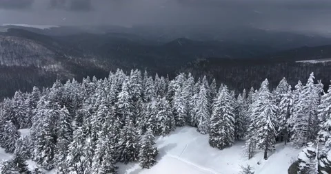 Topdown drone view of a snow-covered mountain landscape at an altitude over 1600 Stock Footage 205096432