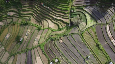 Topdown road tilt up Stock Footage 329880179