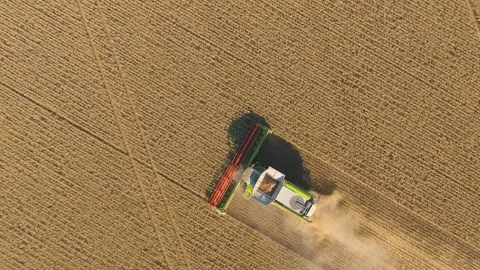 Topdown symmetrical view of harvesting machine on wheat field Stock Footage 233098567