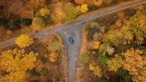 Topdown View Black Car Forest Stock Footage 98569092