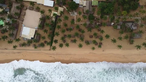 Topdown view of a sandy beach with palm trees and ocean waves crashing on shore Stock Footage 318298875