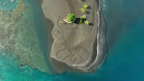 Topdown view of waves around sand drawing of an Octopus Tahiti French Polynesia Stock Footage 194765201