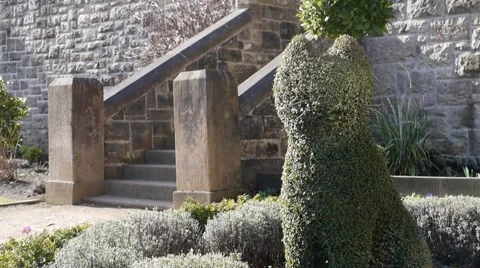 Topiary Cat 1 Stock Footage 47999448