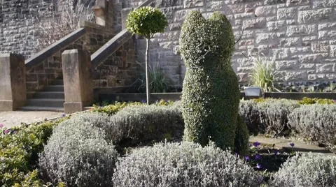 Topiary Cat 2 Stock Footage 47997548