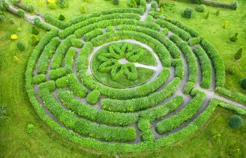 Topiary garden in the shape of a labyrinth. Stock Photos