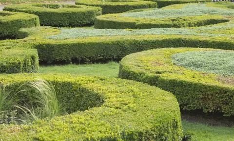 Topiary Stock Photos