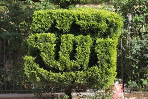 Topiary shaped as Arabic Allah calligraphy Stock Photos