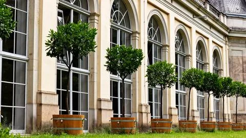 Topiary Trees and Arched Windows at Pillnitz Palace, Germany Stock Photos