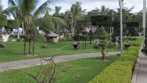 Topiary trees in the garden Stock Footage 70763923