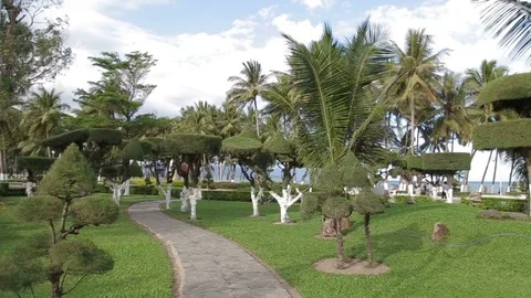 Topiary trees in the garden Stock Footage 70774354