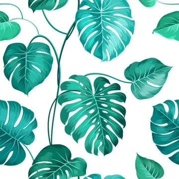 Topical palm leaves Stock Illustration
