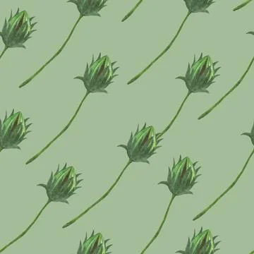 Topinambur Flower Bud Seamless Pattern. Floral Digital Paper. Stock Illustration