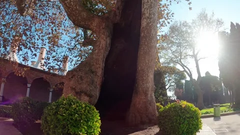 Topkapi Palace in Istanbul, Turkey Video stock 290095898