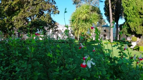 Topkapi Palace in Istanbul, Turkey Видео 290095908