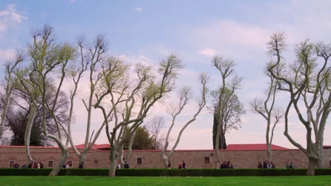 Topkapi Palace Museum park 库存影片 241170845