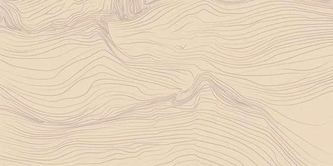 Topographic line contour map background. Geographic abstract flat pattern. .. Ilustración de archivo