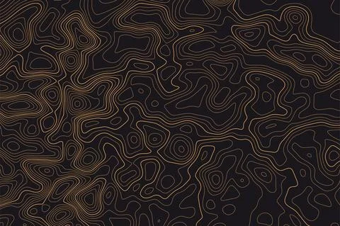 Topographic line map pattern. Contour elevation topographic and textured Stock Illustration