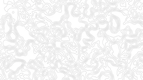 Topographic Map Animated Background in 4K Resolustion Stock Footage 314294928