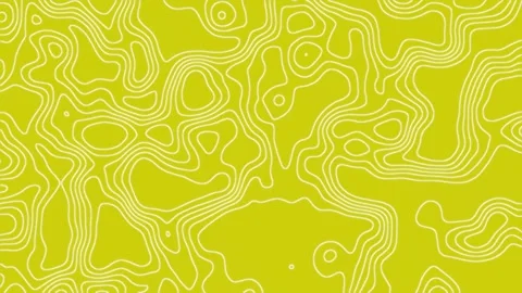 Topographic Map Animated Background Stock Footage 264655619