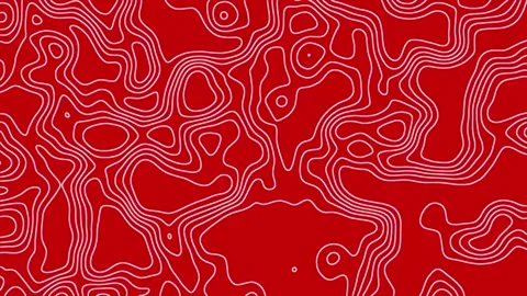 Topographic Map Animated Background Stock Footage 264655621