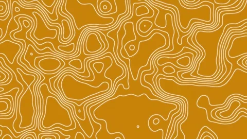Topographic Map Animated Background Stock Footage 264655700
