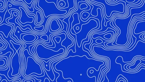 Topographic Map Animated Background Stock Footage 264655709