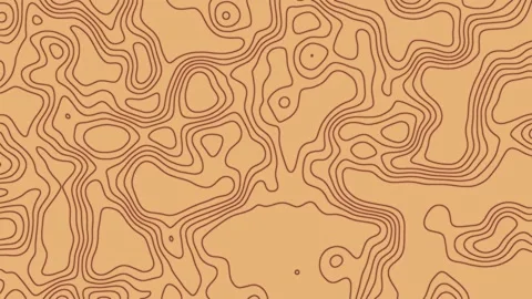 Topographic Map Animated Background Stock Footage 264655862
