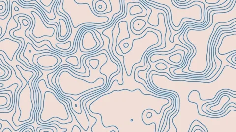 Topographic Map Animated Background Stock Footage 264656248