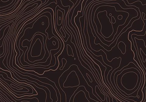 Topographic map background with altitude lines. Abstract terrain topography with Stock Illustration