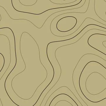 Topographic map background in brown colors. Grid map. Vector illustration . Stock Illustration