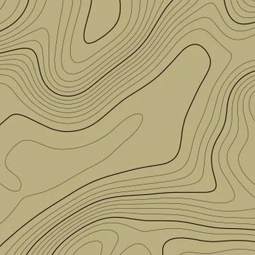 Topographic map background in brown colors. Grid map. Vector illustration . Stock Illustration