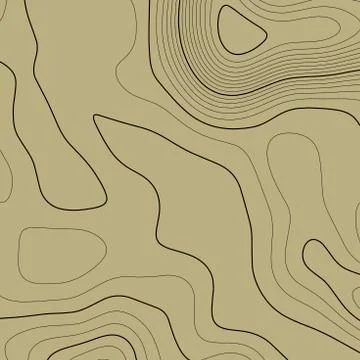 Topographic map background in brown colors. Grid map. Vector illustration . イラスト素材