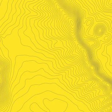 Topographic map background concept with space for your copy. Topography lines Illustrazione stock