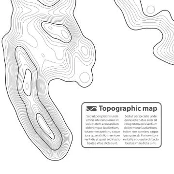 Topographic map background. Grid map. Contour. Vector illustration. イラスト素材
