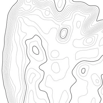 Topographic map background. Grid map. Contour. Vector illustration. Stock Illustration