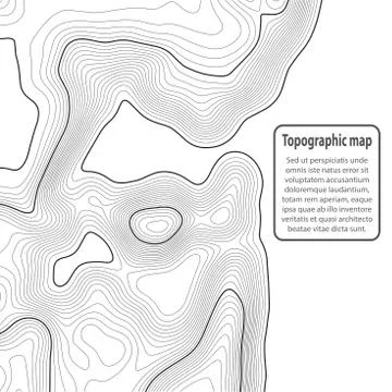 Topographic map background. Grid map. Contour. Vector illustration. Stock Illustration