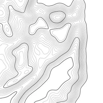 Topographic map background. Grid map. Contour. Vector illustration. Stock Illustration