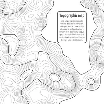 Topographic map background. Grid map. Contour. Vector illustration. Stock Illustration
