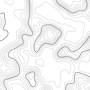 Topographic map background. Grid map. Contour. Vector illustration. Stock Illustration