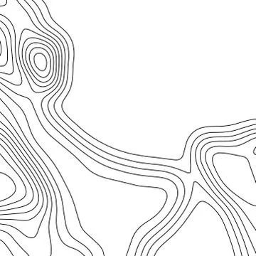 Topographic map background. Grid map. Vector illustration . Stock Illustration