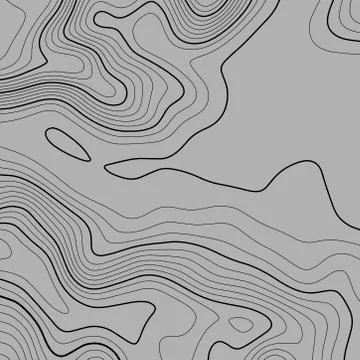 Topographic map background. Grid map. Vector illustration . イラスト素材
