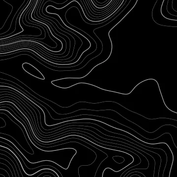 Topographic map background. Grid map. Vector illustration . Stock Illustration