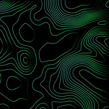 Topographic map background. Grid map. Vector illustration . Stock Illustration