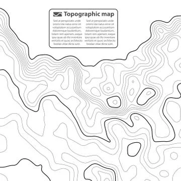 Topographic map background. Grid map. Contour. Vector illustration. Stock Illustration