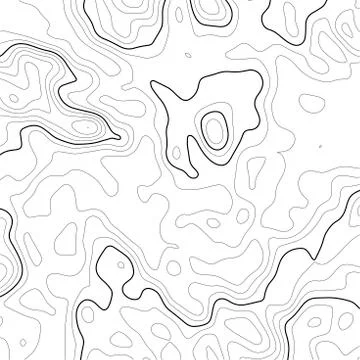 Topographic map background. Grid map. Contour. Vector illustration. イラスト素材