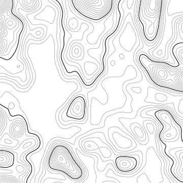 Topographic map background. Grid map. Contour. Vector illustration. Stock Illustration