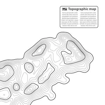Topographic map background. Grid map. Contour. Vector illustration. Stock Illustration